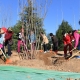 首都义务植树尽责形式升级，多样化活动助力绿色家园建设