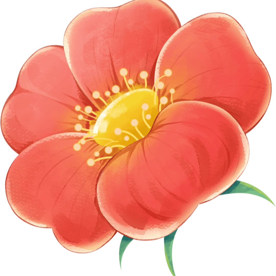 afa542af107898def8df69d8427b46fb.png